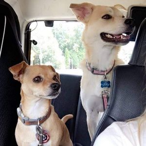 Meet your Posher, Dani